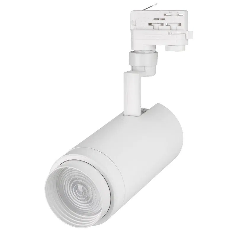 Светильник светодиодный LGD-ZEUS-4TR-R100-30W Warm SP3000-Fruit WH 20-60 deg IP20 230В металл Arlight 030000