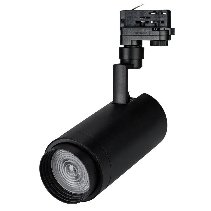 Светильник светодиодный LGD-ZEUS-4TR-R100-30W Warm SP2500-Bread BK 20-60 deg IP20 230В металл Arlight 032457