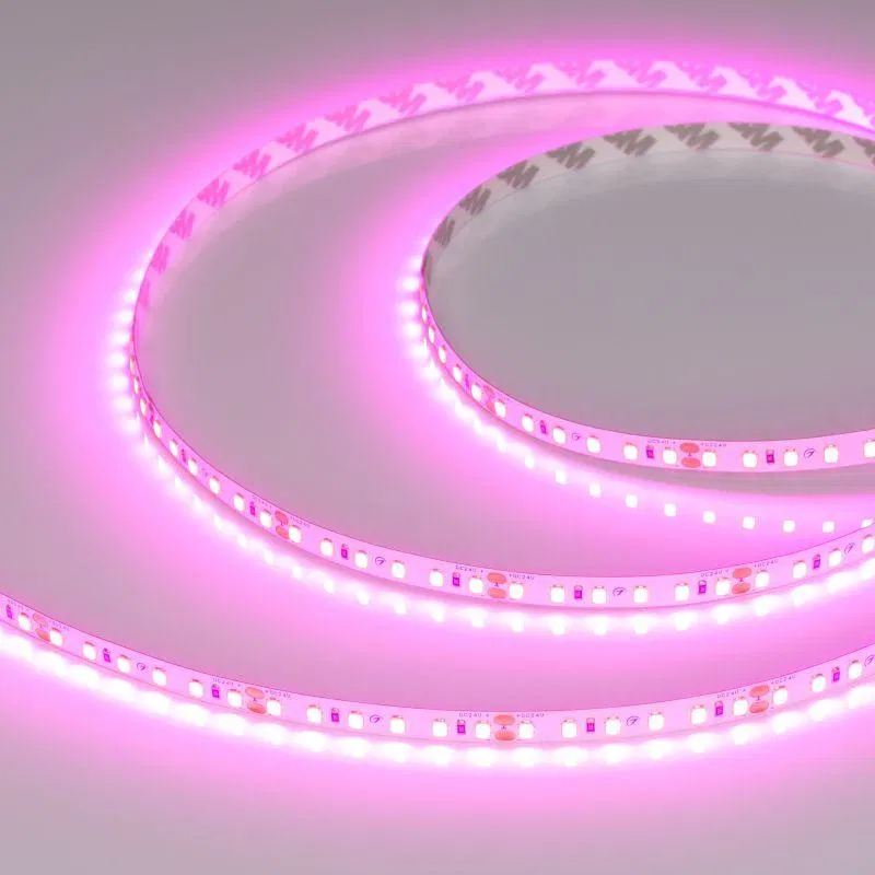 Лента светодиодная RT-A120-8mm 24V Magenta 9.6Вт/м IP20 2835 (уп.5м) Arlight 043381