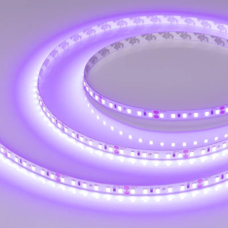 Лента светодиодная RT-A120-8mm 24В Violet 9.6Вт IP20 2835 (уп.5м) Arlight 043384