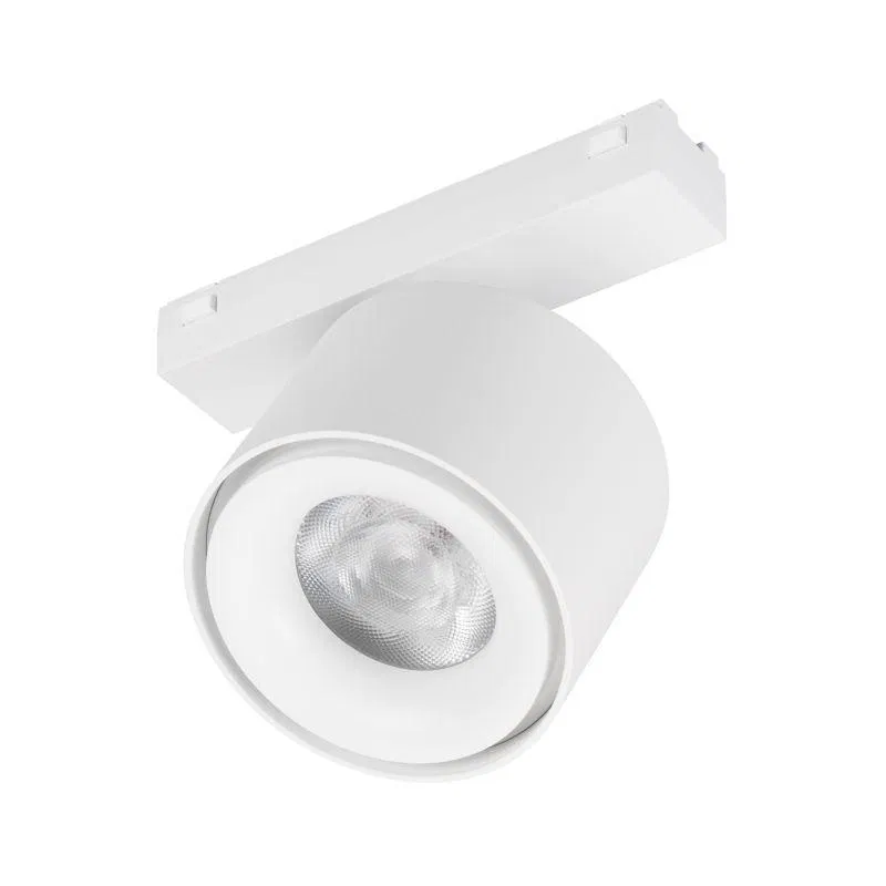 Светильник MAG-VIBE-POINT-R75-10W Day4000-MIX WH 24 deg 48В DALI 10Вт 4000К IP20 метал. Arlight 045001