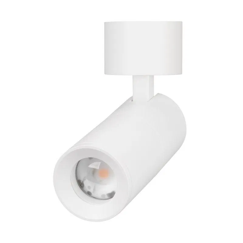 Светильник светодиодный SP-ARTEMIS-SURFACE-FLAP-R55-12W Day4000 (WH 8-80 deg 230В) IP20 металл Arlight 051787