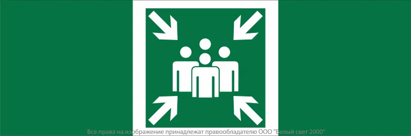 Знак безопасности NPU-3413.E21 "Пункт (место) сбора" Белый свет a19916