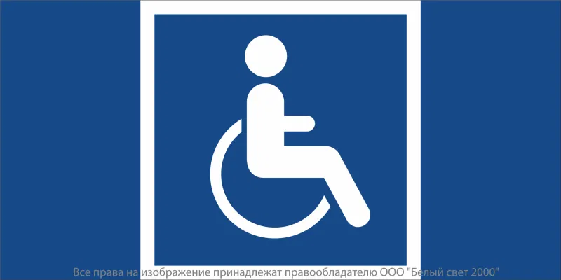 Знак безопасности NPU-2714.D02 "Символы доступ. для инвалидов всех категорий" Белый свет a20364