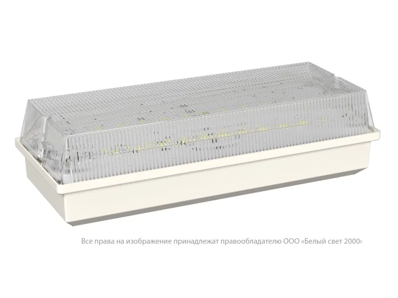 Светильник аварийный BS-UNIVERSAL-10-L5-LED 5000К Белый Свет a30197