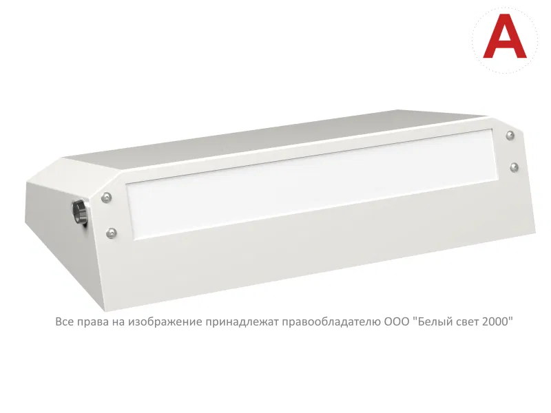 Светильник BS-CUSTOS-51-L1-INEXI2 4000К White аварийный бел. Белый свет a32344