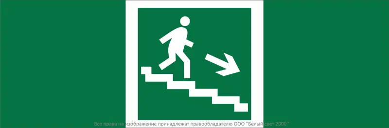 Знак безопасности NPU-3311.E13 "Направление к эвакуационному выходу по лестн. вниз (прав.)" Белый свет a32676