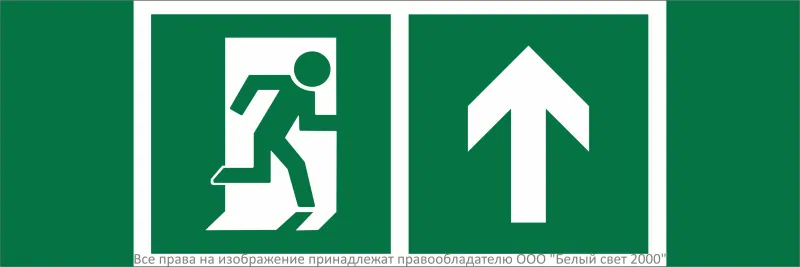 Знак безопасности NPU-3311.E38 "Направление к эвакуационному выходу прямо" Белый свет a32688