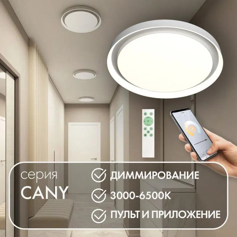 Светильник 50Вт 3000К-6500К IP20 накладной со встроен. светодиодом управление пульт Д/У (в комплекте) и Wi-Fi 2.4Ггц эко система Smart Life Яндекс Алиса метал. полимер бел. DENKIRS 780291