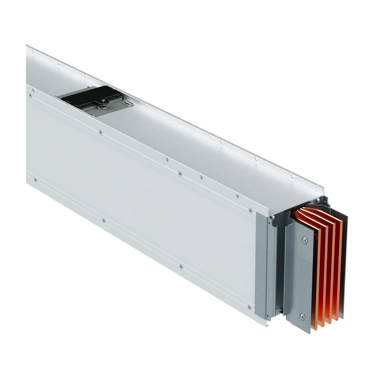 Секция прямая c точками отвода, Cu, IP55 PTCXXESP14AA000 DKC