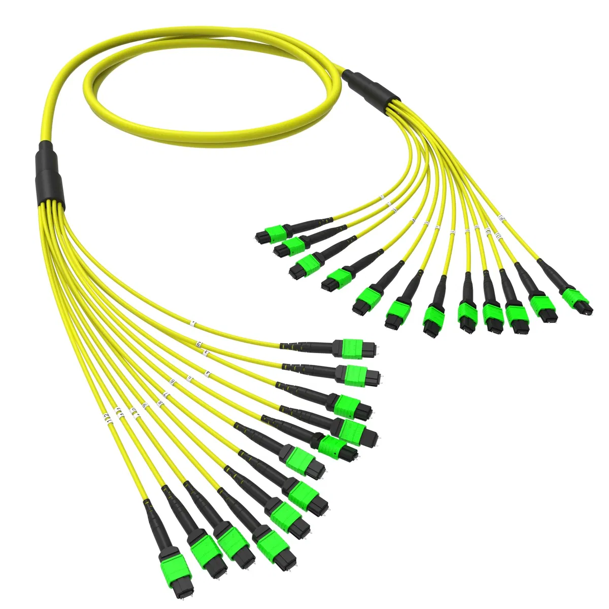 Оптическая магистральная сборка 144 ОВ 9/125 OS2, 12xMTP(12)m/12xMTP(12)m, тип В, 40 м RNTMM12X12S40 DKC
