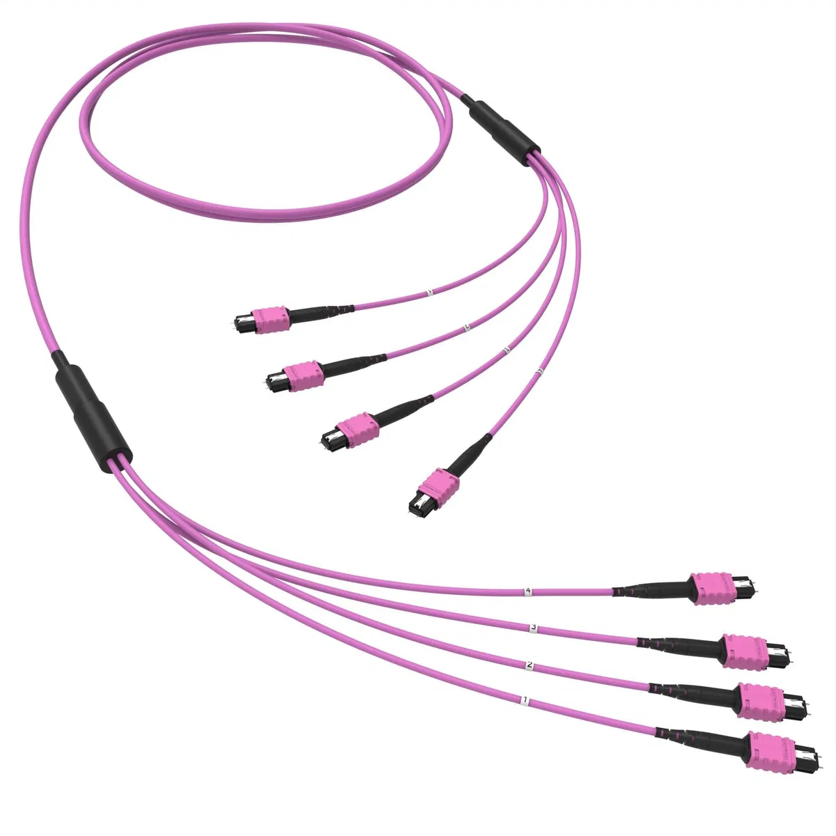 Оптическая магистральная сборка 48 ОВ 50/125 OM4, 4xMTP PRO(12)m/4xMTP PRO(12)m, тип В, 150 м RNTMM4X124150 DKC