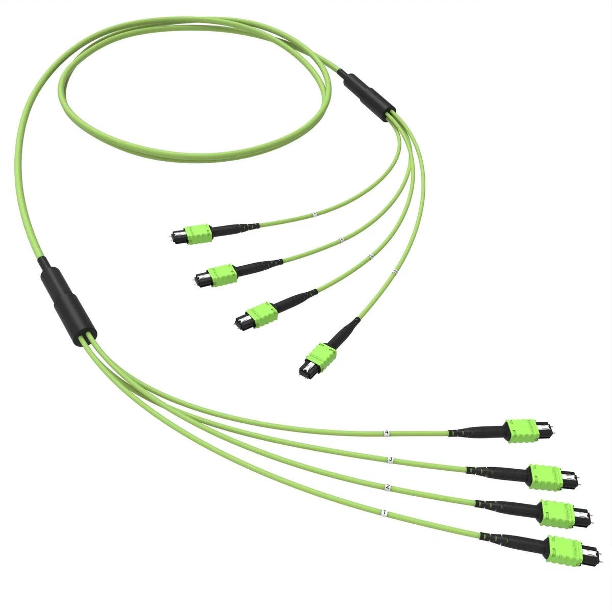 Оптическая магистральная сборка 48 ОВ 50/125 OM5, 4xMTP PRO(12)m/4xMTP PRO(12)m, тип В, 20 м RNTMM4X12V20 DKC