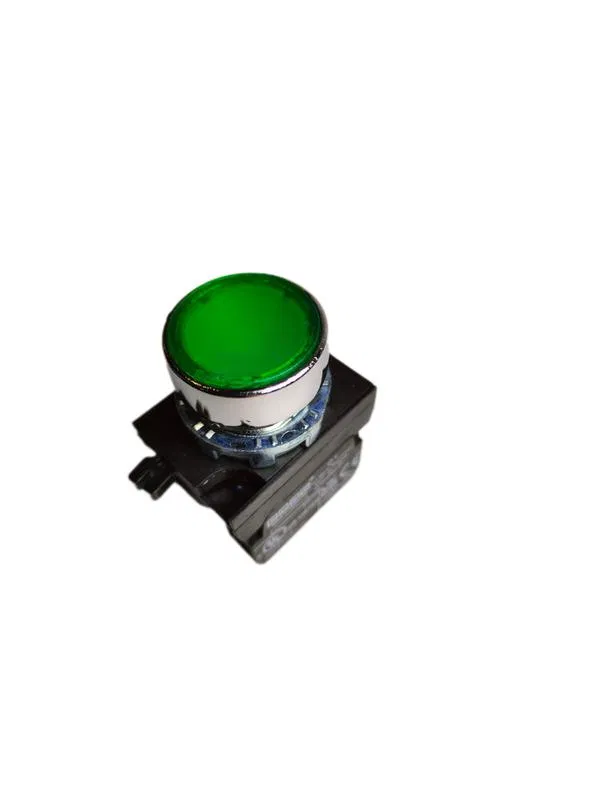 Кнопка нажимная круглая CM101DY (2НО) зел. EMAS CM101DY