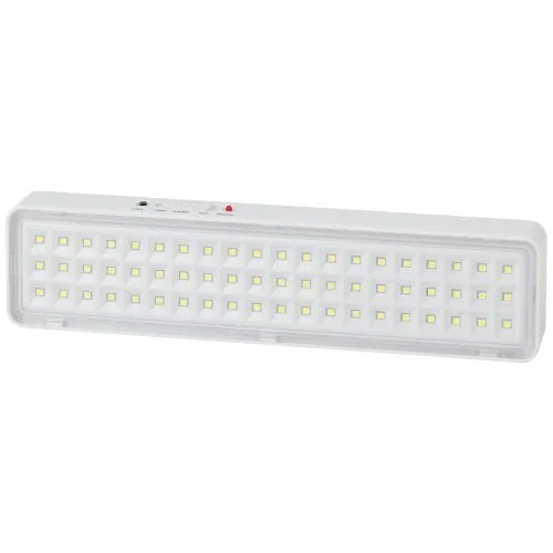 Светильник светодиодный DBA-103-0-20 60LED 5ч IP20 аварийный непостоянный Эра Б0044396