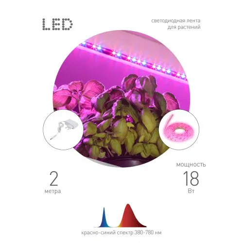 Лента светодиодная FITO-Strip Light-RB-2m 2м для растений красн./син. спектр IP65 Эра Б0057282