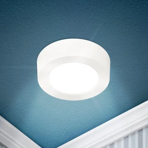 Светильник светодиодный LED 19-12-6K 12Вт 6500К накладной круглый ЭРА Б0057448