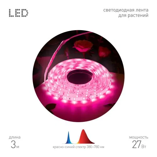 Лента светодиодная FITO-Strip Light-RB-27W-3m-12V-IP65 3м красн./син. спектра IP65 с адаптером 12В для растений Эра Б0064617