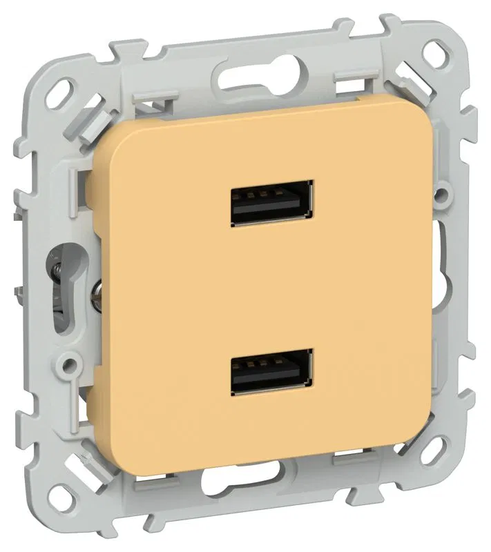 Розетка USB СП FLITE РЮ-2-ФлЗ AA 2.1А механизм золотарник IEK FI-U21-D31-K90