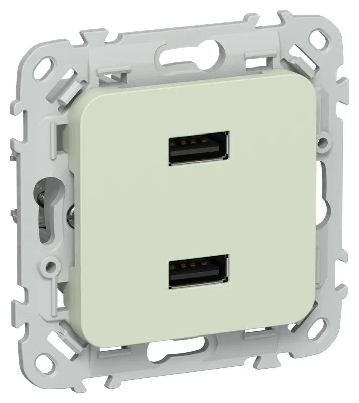 Розетка USB СП FLITE РЮ-2-ФлП AA 2.1А механизм панг IEK FI-U21-D31-K92