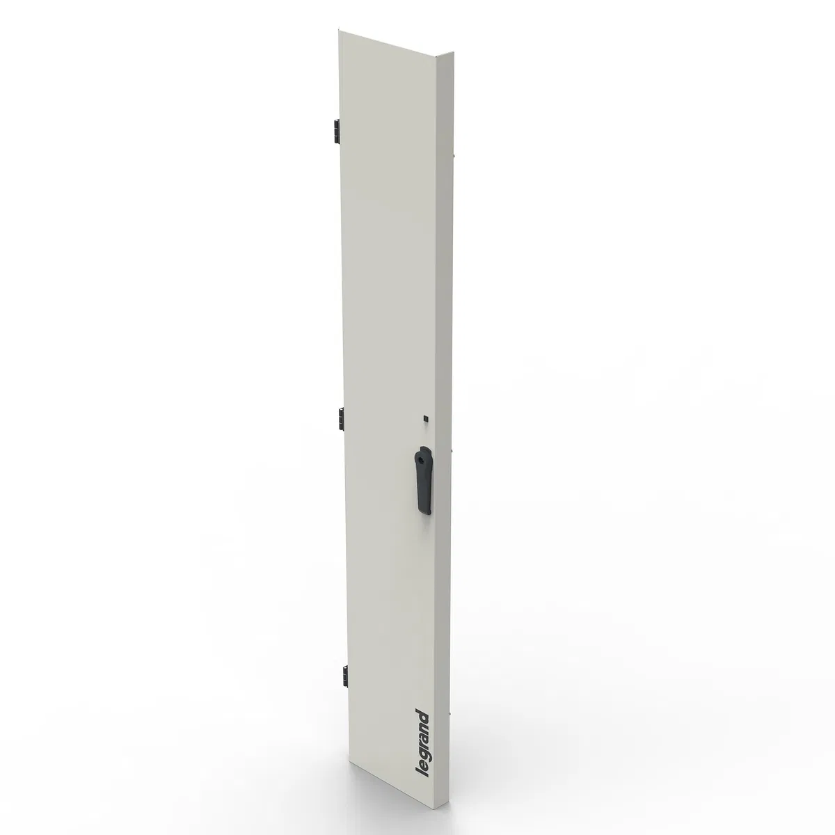 XL³ S 4000 Металлическая дверь 2200x600мм 338112 Legrand