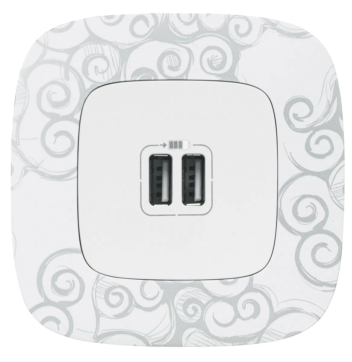 Valena ALLURE.Зарядное устройство с двумя USB-разьемами 240В/5В 1500мА.С лицевой панелью.Белое 754995 Legrand