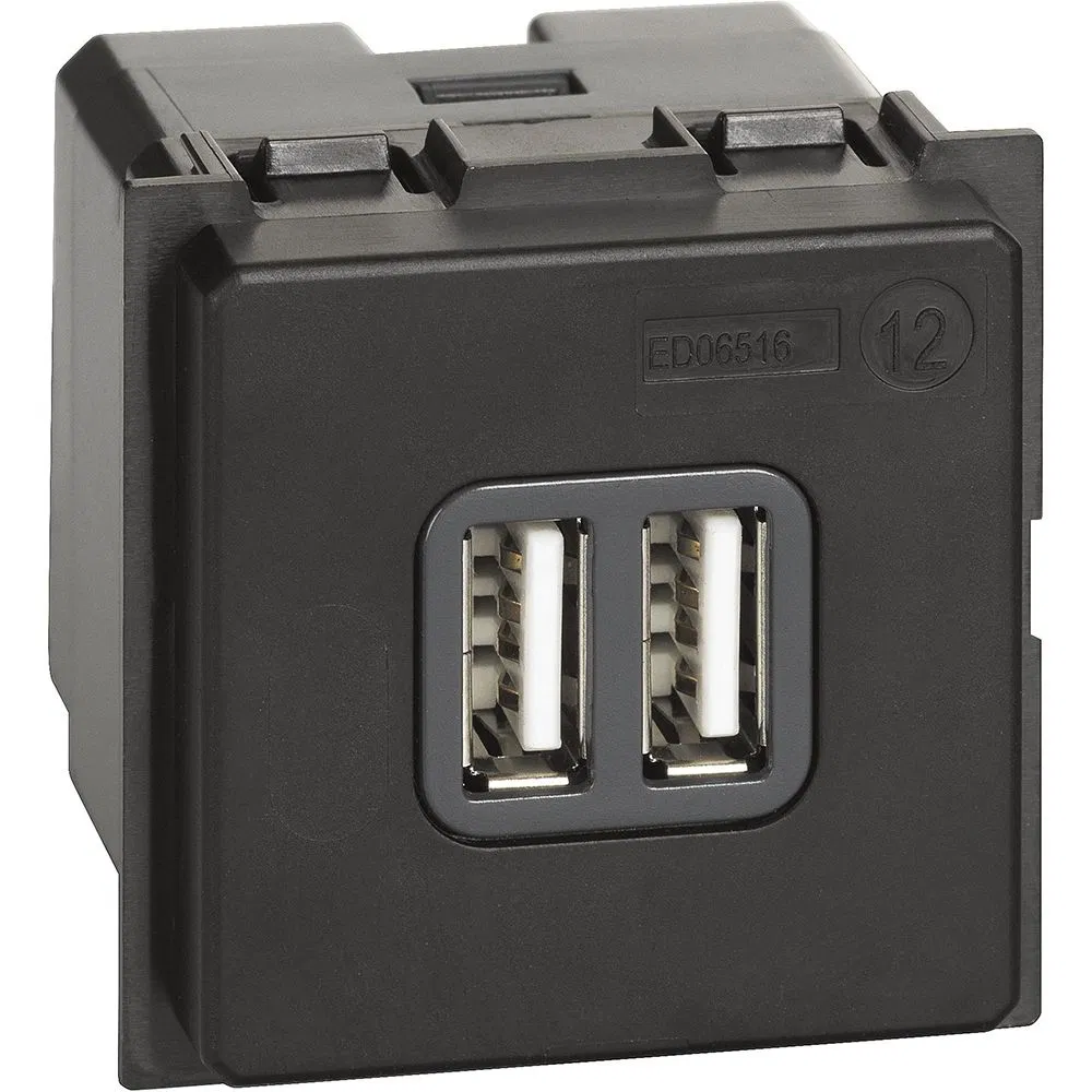 LIVING NOW. Зарядное устройство USB Стандарты А-А 3000мА 2 модуля. K4285C2 Legrand
