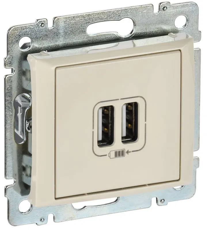 Розетка USB 2-м СП Valena сл. кость IEK 774170 Legrand (группа IEK)