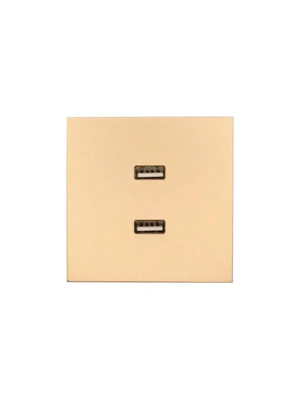 Розетка 2-мест. USB разъем СП ZIMA IP20 зол. LEZARD 704-3688-192