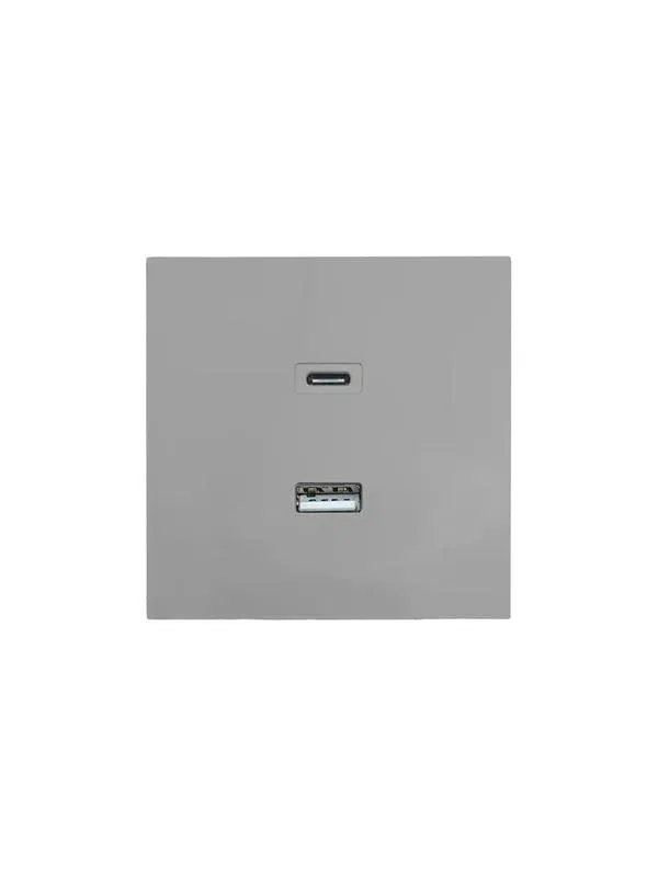 Розетка Type-C+ USB разъем СП ZIMA IP20 сер. матов. LEZARD 704-7488-192TC
