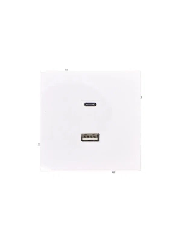 Розетка USB 2-местн. СП ESTET механизм USB type A + type C IP20 бел. LEZARD 745-0288-192TC