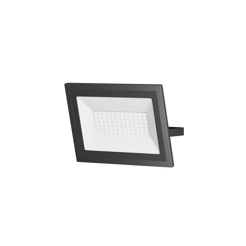 Прожектор Flood 50Вт 6500К 110град. IP65 Maytoni FL001-L50B6K