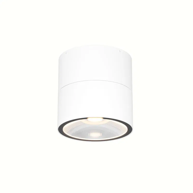 Светильник Spin 7Вт 3000К IP54 потолочн. Maytoni O310CL-L7W3K