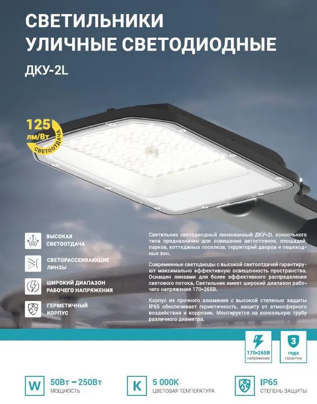 Светильник уличный линзованный светодиодный ДКУ-2L 250Вт 230В 5000К 31250лм 125лм/Вт 48-70мм IP65 NEOX 4690612057507