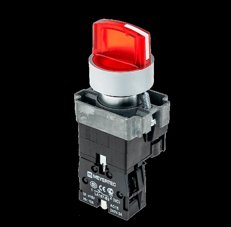 Переключатель с LED подсветкой 220В AC/DC красн. 2 полож. 1NC фикс. мет. MTB2-BK2463 ОВЕН 58215