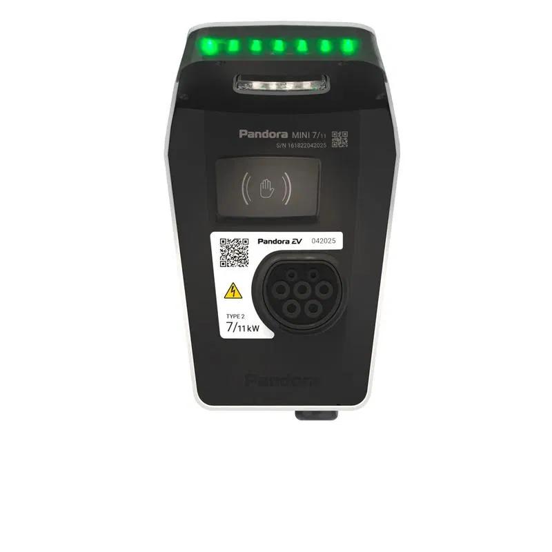Станция зарядная переменного тока MINI 711 white Pandora 6032101