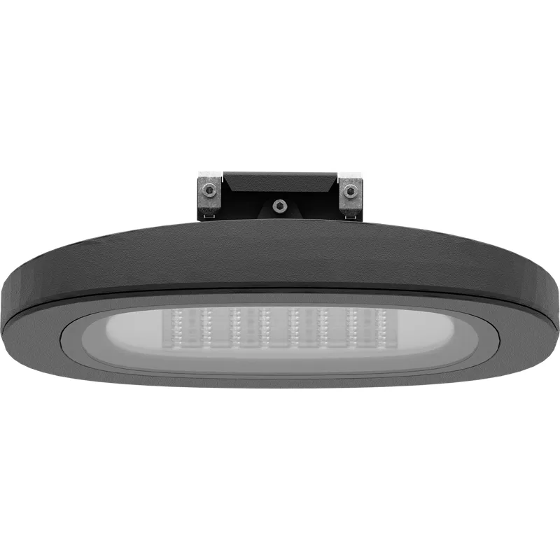 SKYLINE LED/CAT 120W DS1 740 RAL9006 1707000240 Световые Технологии