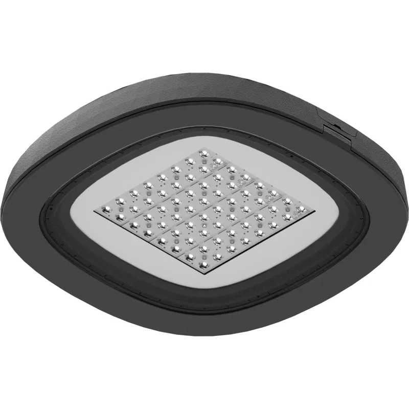 SKYLINE LED/CAT 60W DS1 730 RAL9005 1707001540 Световые Технологии