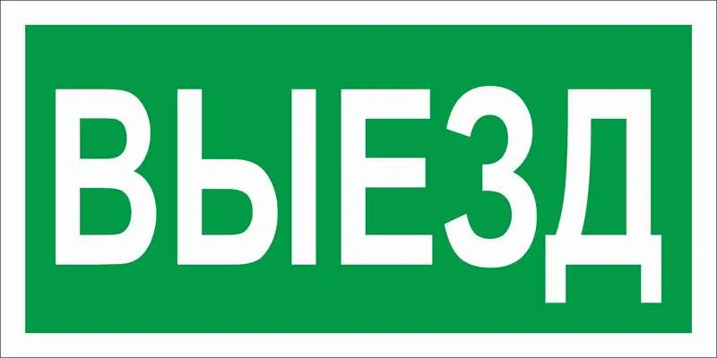 Пиктограмма "Выезд" ПЭУ 017 130х260 СТ 2501002820 Световые технологии
