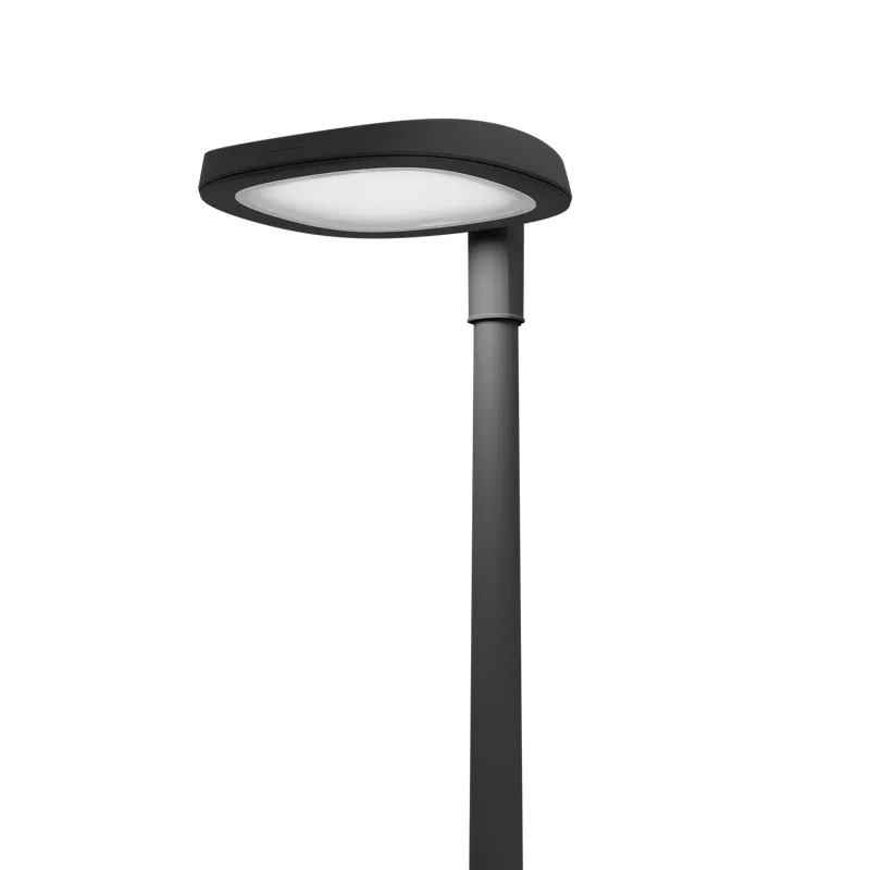SKYLINE LED 30W DK 827 RAL9005 I-POLE 4M (в комплекте ЗДФ) 4707000220 Световые Технологии