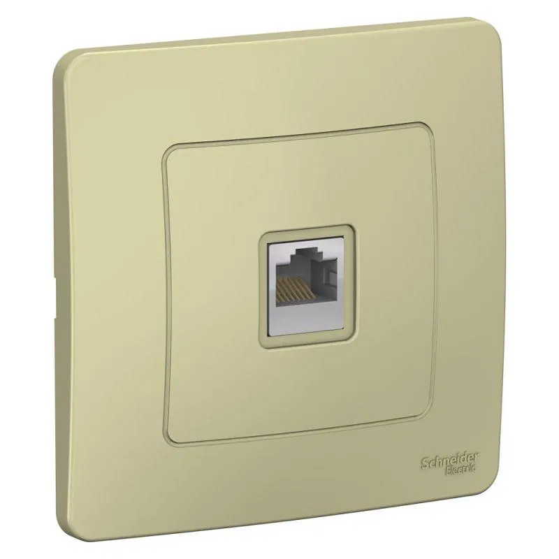 Розетка компьютерная 1-м СП Blanca RJ45 кат.5E беж. SE BLNIS045007 Systeme Electric