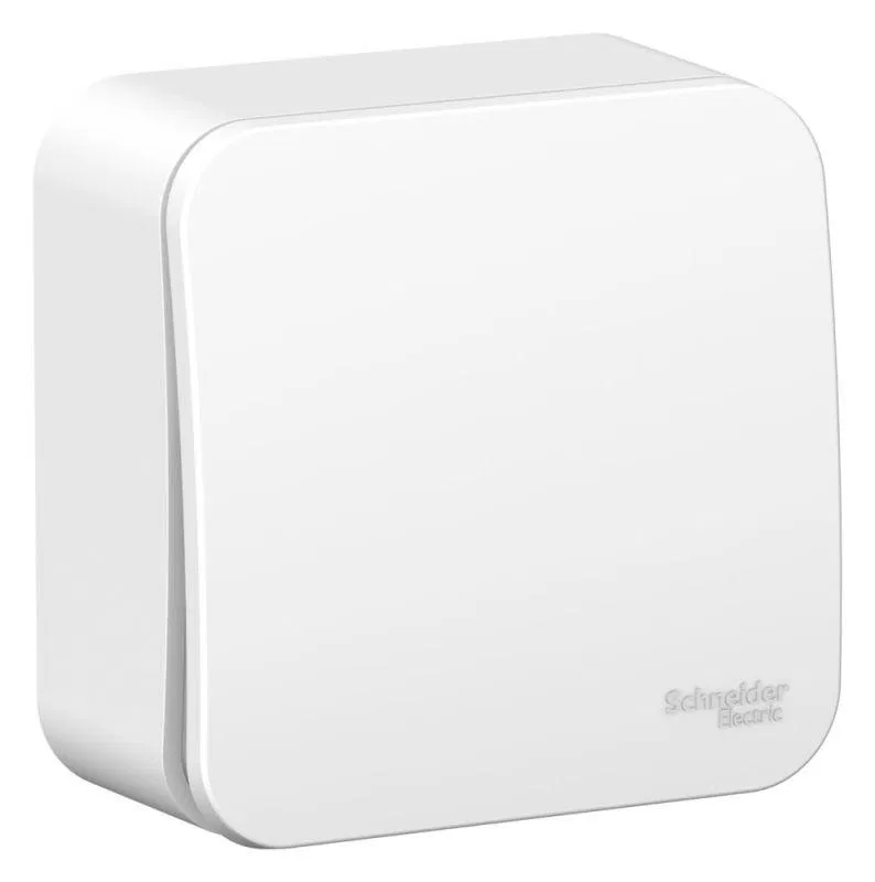 Выключатель 1-кл. ОП Blanca 6А IP20 (сх. 1) 250В с металлич. пластиной бел. SE BLNVA061021 Systeme Electric