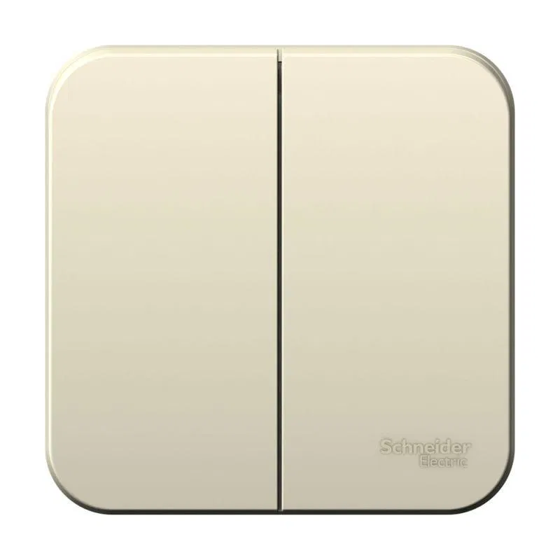 Выключатель 2-кл. ОП Blanca 6А IP20 (сх. 5) 250В с изолир. пластиной молочн. SE BLNVA065012 Systeme Electric