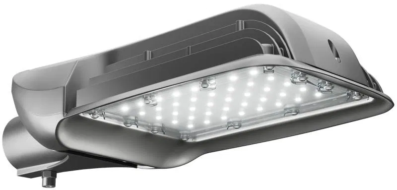 Светильник светодиодный ATAMAN-STREET-RUS 80-1 830 SW уличный Технологии света УТ000020766