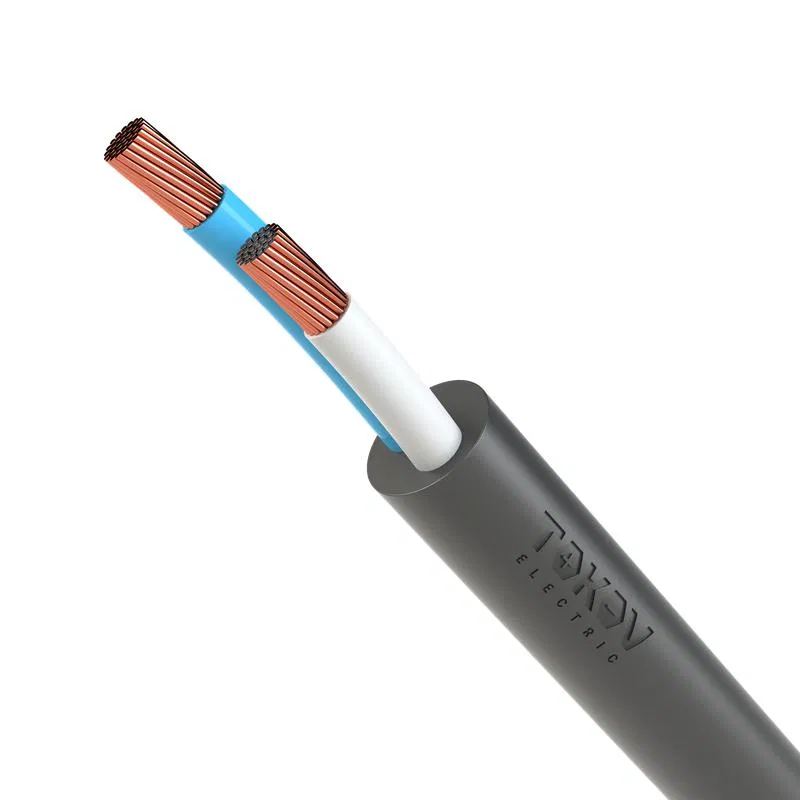 Кабель TOKOV ELECTRIC КГтп-ХЛ 2х2.5 (N) 380/660-3 (м) 00-00027181 TOKOV ELECTRIC КПП